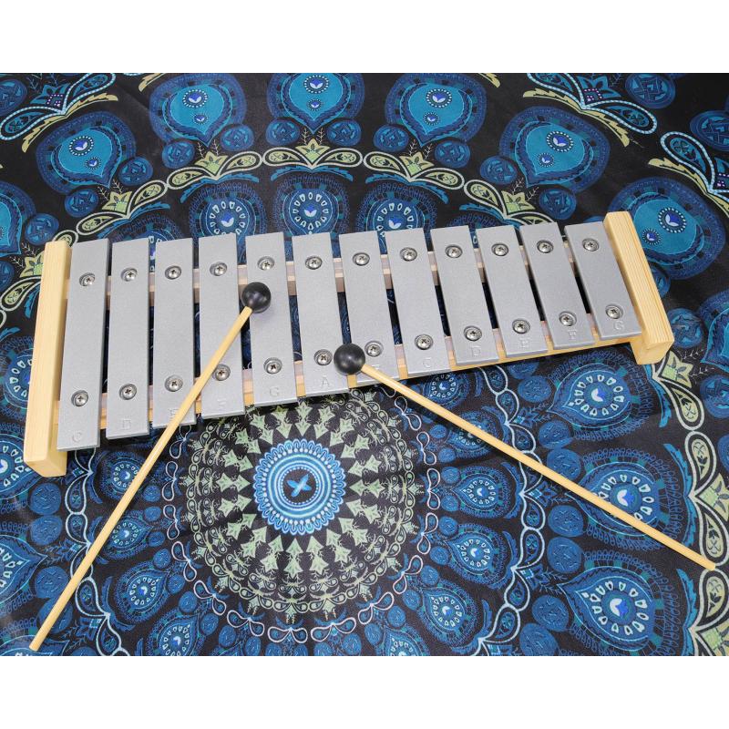 Buy Glockenspiel 12 Grey Keys Sheet Music Book Color Note Stickers