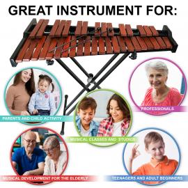 37 Key Chromatic Xylophone on Metal Stand, Carrying bag