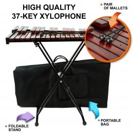 37 Key Chromatic Xylophone on Metal Stand, Carrying bag