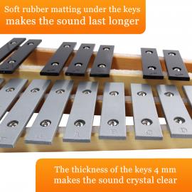 Glockenspiel 25 Note Chromatic C-C Tuned, Carrying Case, 4 Mallets, Sheet Music Cards