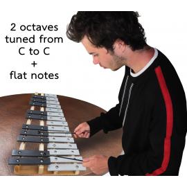 Glockenspiel 25 Note Chromatic C-C Tuned, Carrying Case, 4 Mallets, Sheet Music Cards