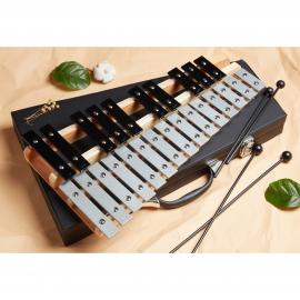 Glockenspiel 25 Note Chromatic C-C Tuned, Carrying Case, 4 Mallets, Sheet Music Cards