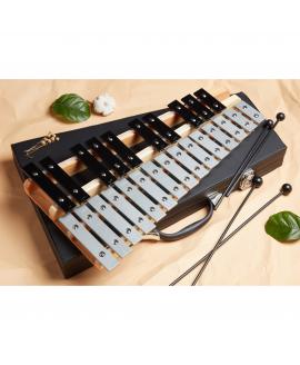 Glockenspiel 25 Note Chromatic C-C Tuned, Carrying Case, 4 Mallets, Sheet Music Cards Glockenspiel 25 Note Chromatic C-C Tuned, Carrying Case, 4 Mallets, Sheet Music Cards