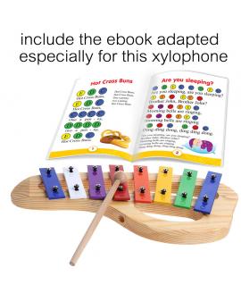 Kids Color Xylophone 8 Notes oval Base Kids Color Xylophone 8 Notes oval Base