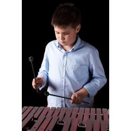 25 Chromatic Wooden Keys Xylophone