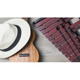 25 Chromatic Wooden Keys Xylophone