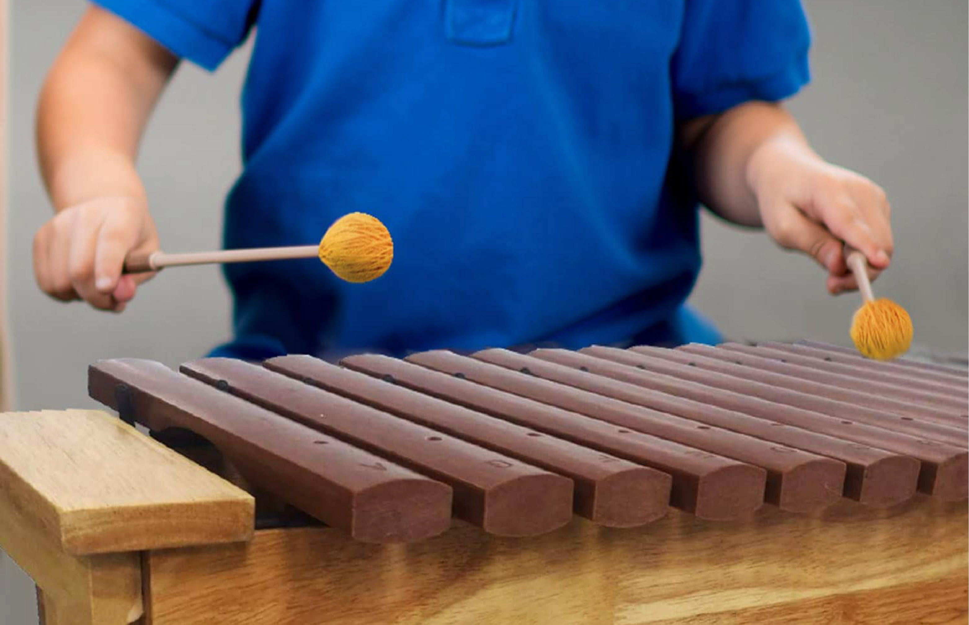 Discover the Musical Differences between Xylophone, Glockenspiel, Vibraphone, and Metallophone